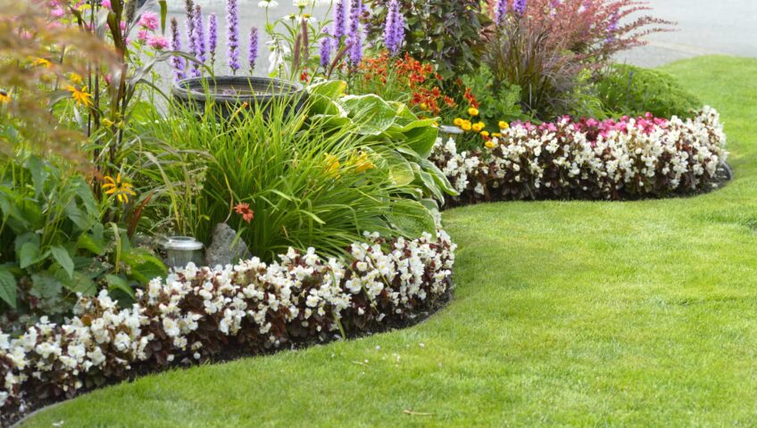 Commercial Landscaping Project, Commercial Landscaping Blogs