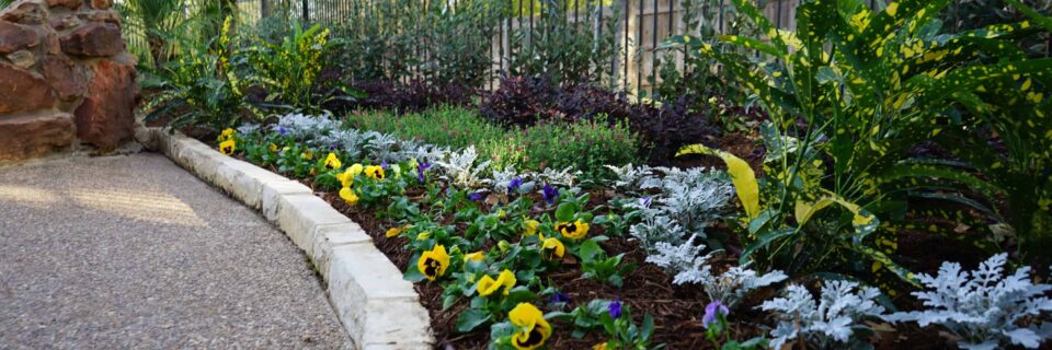 Commercial Landscaping in Dallas/Fort Worth Area