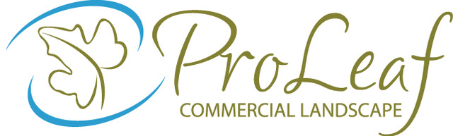 ProLeaf_logo_01_final
