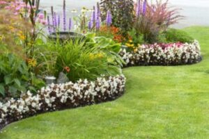 Lawn Maintenance